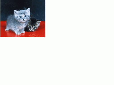 20070605015814--fotoblogtit-gg.gif